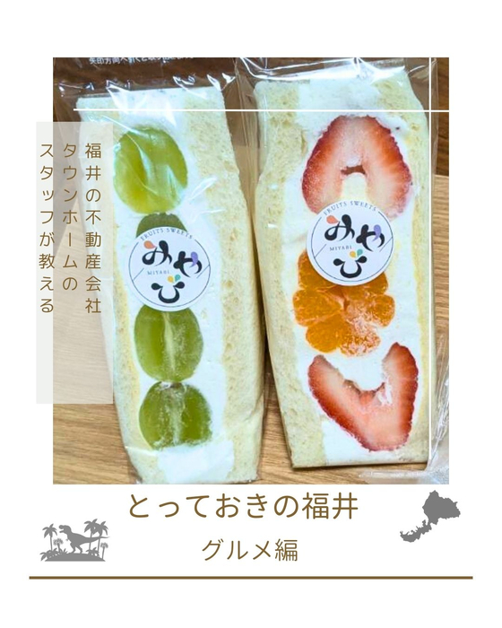 画像2481