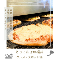 画像2554