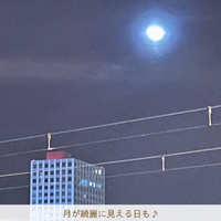 画像2578
