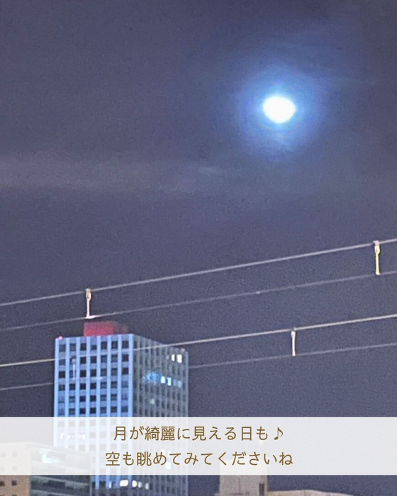 画像2578