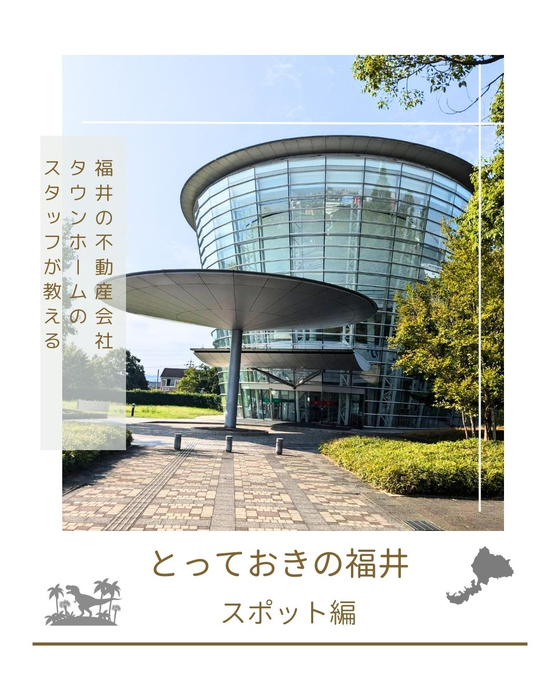 画像2594