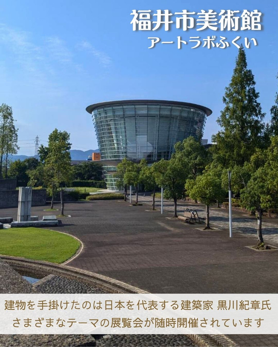 画像2595