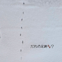 画像2644