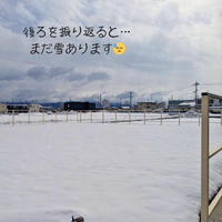 画像2668