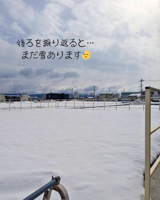 画像2668