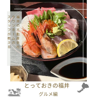画像2916