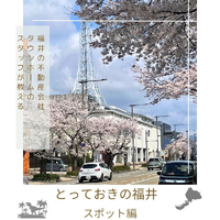 画像2936