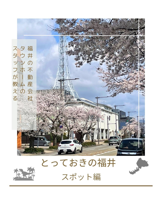 画像2936