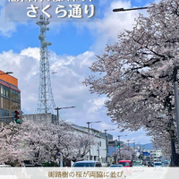 画像2937