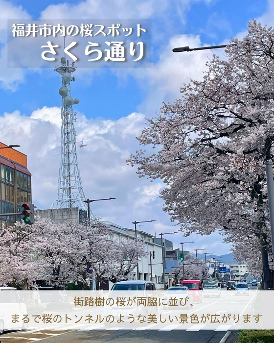画像2937