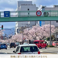 画像2938