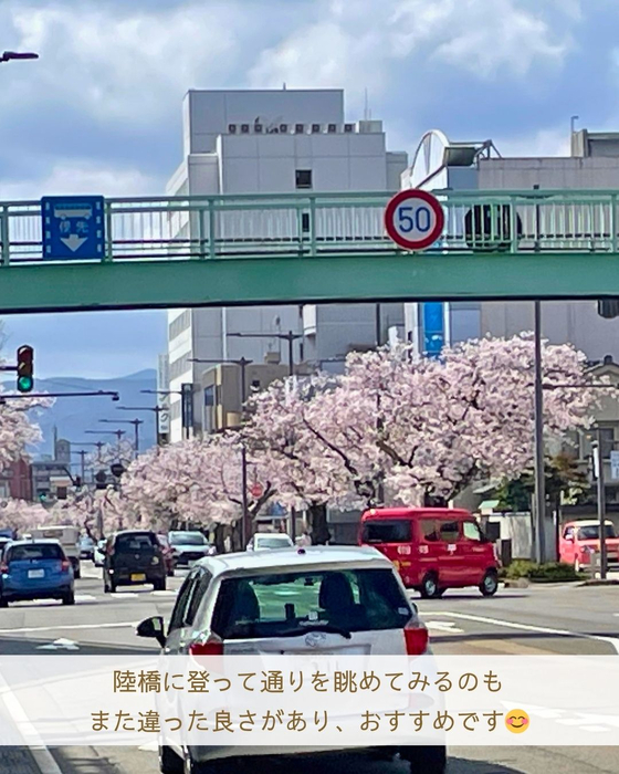 画像2938