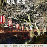 画像2939