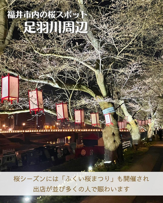 画像2939