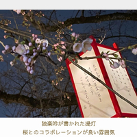 画像2940