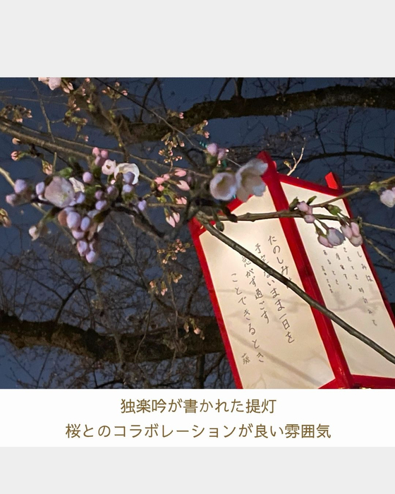 画像2940