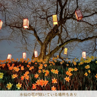 画像2941