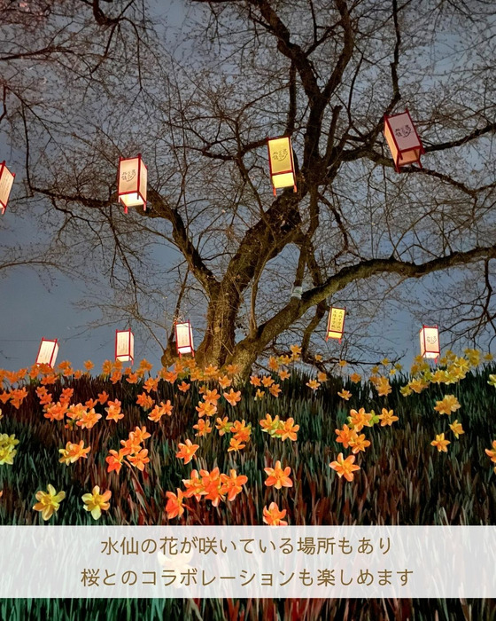 画像2941