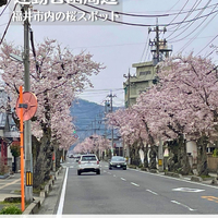 画像2942