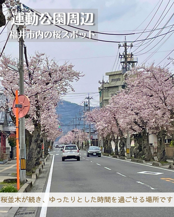 画像2942