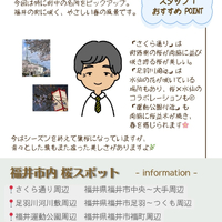 画像2944