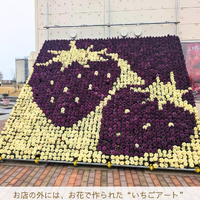 画像2965