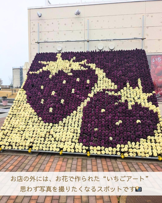 画像2965