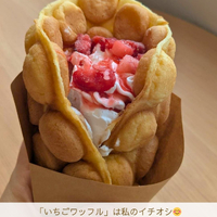 画像2966
