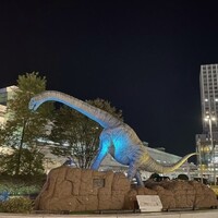 画像299