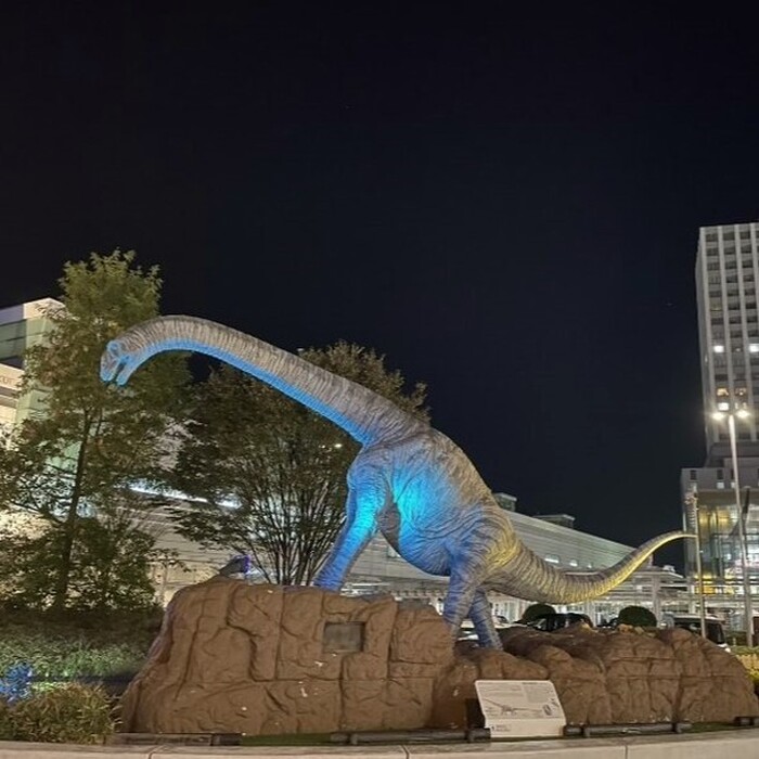 画像299