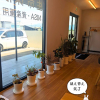 画像3034