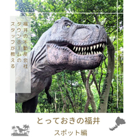 画像3077