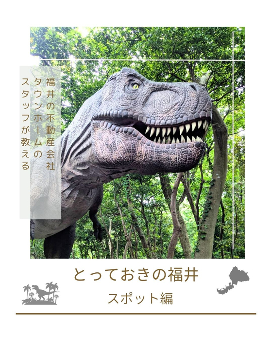 画像3077