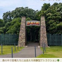 画像3078
