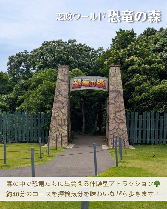 画像3078