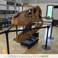 画像3079