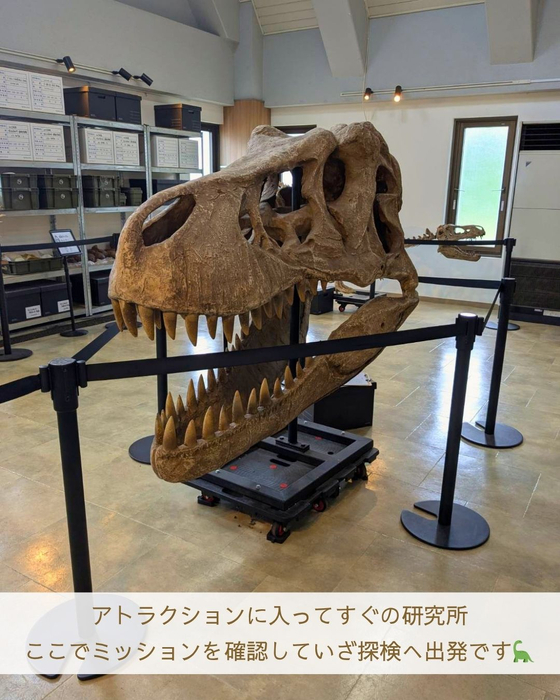 画像3079