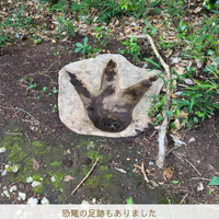 画像3082