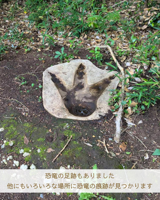 画像3082
