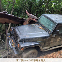 画像3083