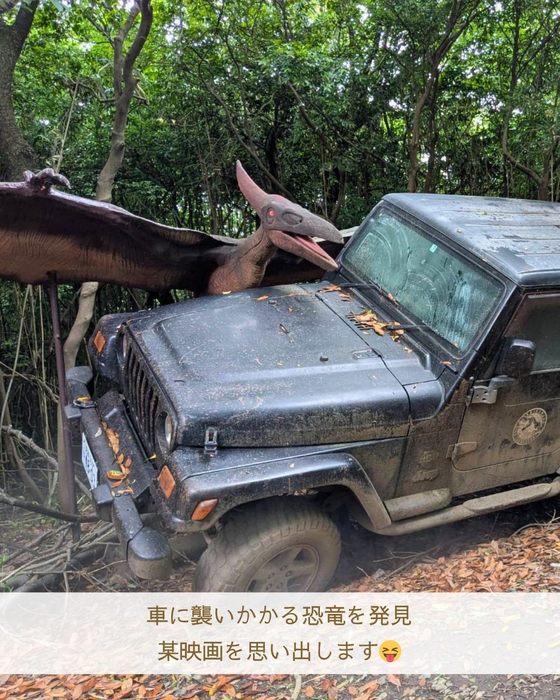 画像3083