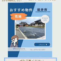 画像3085
