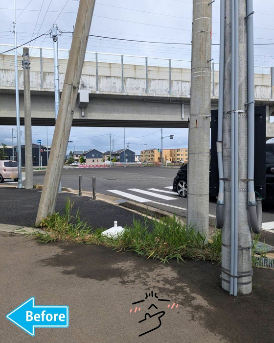 画像3094