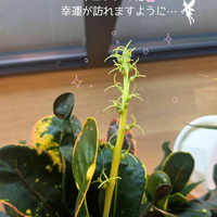 画像3117