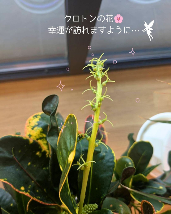 画像3117