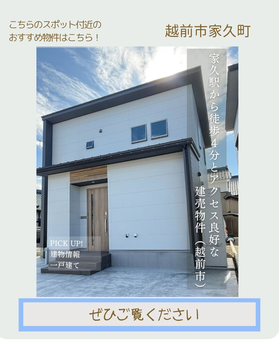 画像3187