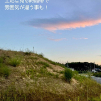 画像3196