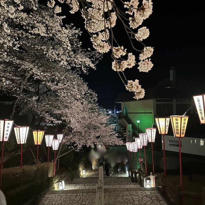 画像656