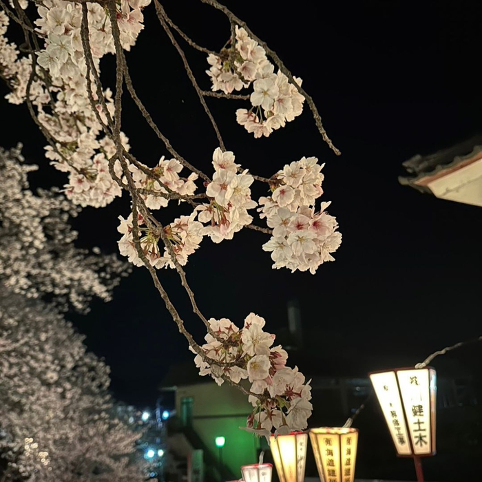 画像657
