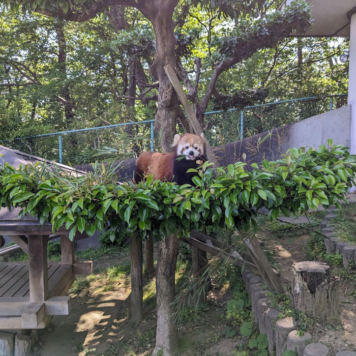 画像841